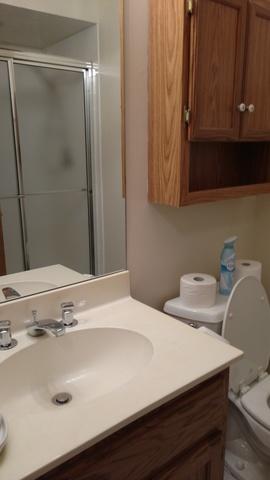 213 Lake Dr #2A, Olympia Fields, IL 60461 photo 25