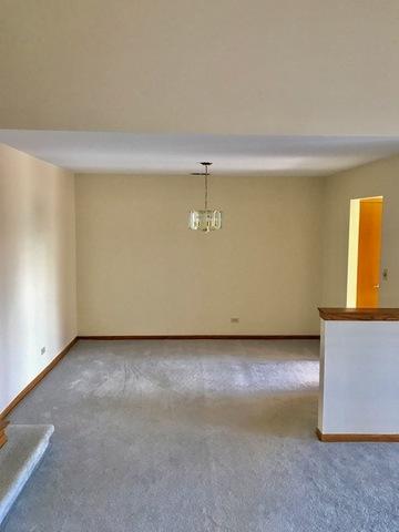 213 Lake Dr #2A, Olympia Fields, IL 60461 photo 13