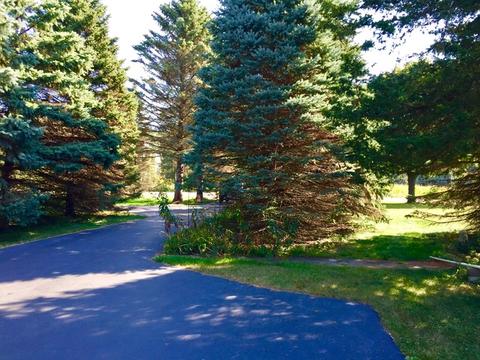 6303 Johnsburg Rd, Spring Grove, IL 60081 photo 42