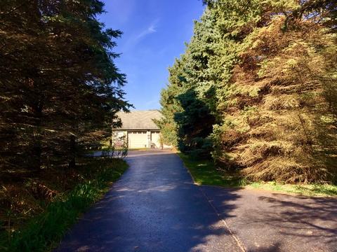 6303 Johnsburg Rd, Spring Grove, IL 60081 photo 4
