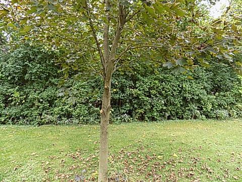 2469 Circle Dr, Ottawa, IL 61350 photo 21