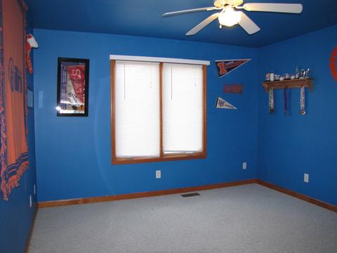17 N Prairieview Ave, Tuscola, IL 61953 photo 22