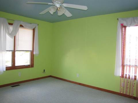 17 N Prairieview Ave, Tuscola, IL 61953 photo 19
