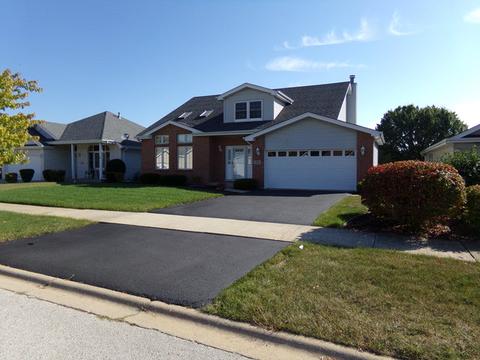 218 Lakeview Ct, Steger, IL 60475 photo 1