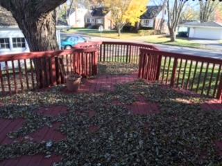 3552 212th Pl, Matteson, IL 60443 photo 9