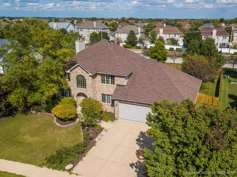13309 Wellesley Cir, Plainfield, IL 60585 photo 3