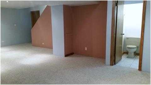 370 Cornell Ln, Elgin, IL 60123 photo 32