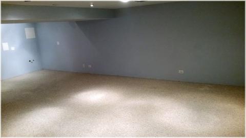 370 Cornell Ln, Elgin, IL 60123 photo 34