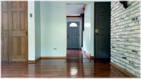 370 Cornell Ln, Elgin, IL 60123 photo 10