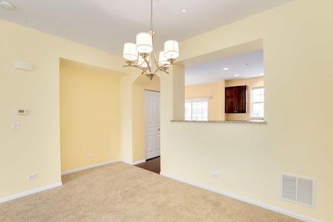 206 Laurel Ave, Des Plaines, IL 60016 photo 16