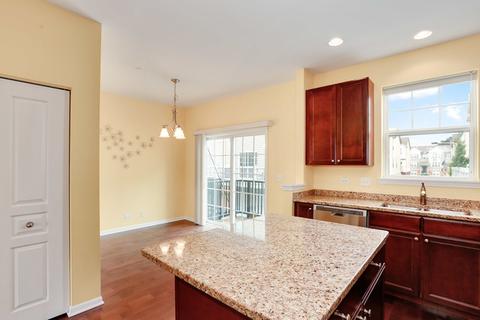 206 Laurel Ave, Des Plaines, IL 60016 photo 22