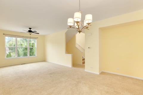 206 Laurel Ave, Des Plaines, IL 60016 photo 15