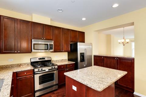 206 Laurel Ave, Des Plaines, IL 60016 photo 19