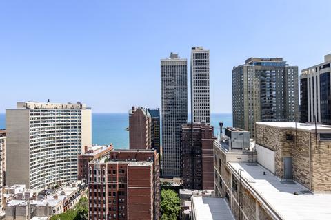 20 E Cedar St #10C, Chicago, IL 60611 photo 33