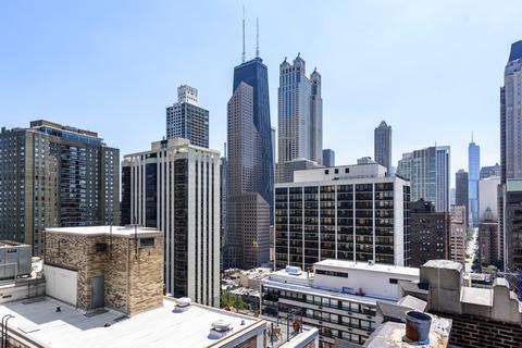 20 E Cedar St #10C, Chicago, IL 60611 photo 32