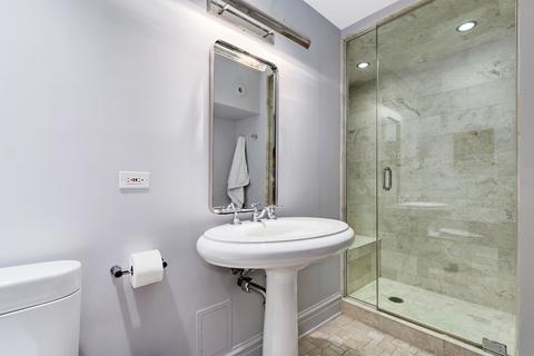 20 E Cedar St #10C, Chicago, IL 60611 photo 30