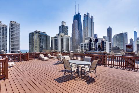 20 E Cedar St #10C, Chicago, IL 60611 photo 31