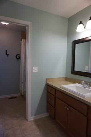 9007 Daniel Ln, Spring Grove, IL 60081 photo 30