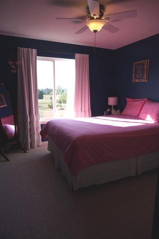 9007 Daniel Ln, Spring Grove, IL 60081 photo 29