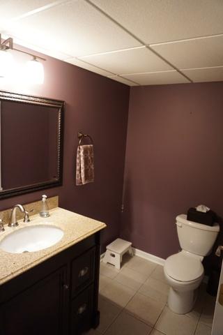 9007 Daniel Ln, Spring Grove, IL 60081 photo 20