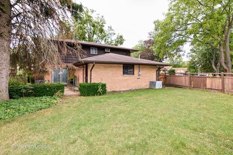 381 Beau Dr, Des Plaines, IL 60016 photo 16
