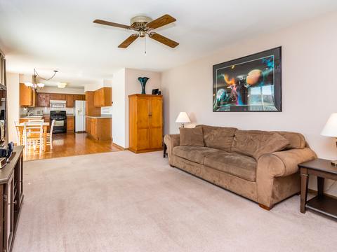 22037 W Pasadena Dr, Plainfield, IL 60544 photo 24