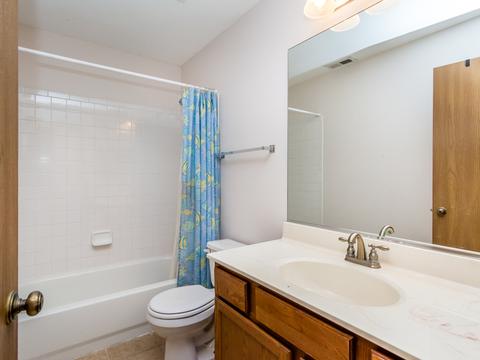 22037 W Pasadena Dr, Plainfield, IL 60544 photo 29