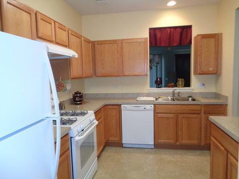 2816 Cascade Falls Cir, Elgin, IL 60124 photo 3