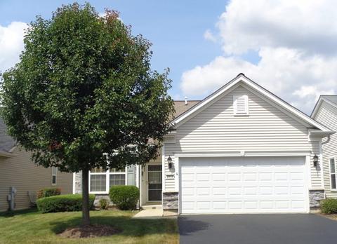 2816 Cascade Falls Cir, Elgin, IL 60124 photo 1