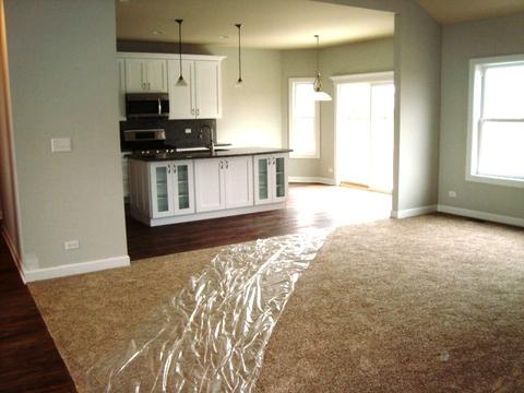 25801 High Ridge Dr, Channahon, IL 60410 photo 5