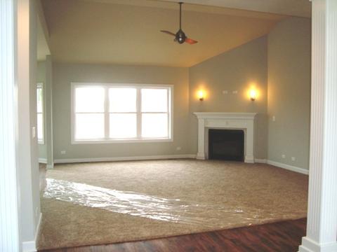 25801 High Ridge Dr, Channahon, IL 60410 photo 10