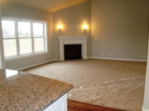 25801 High Ridge Dr, Channahon, IL 60410 photo 9