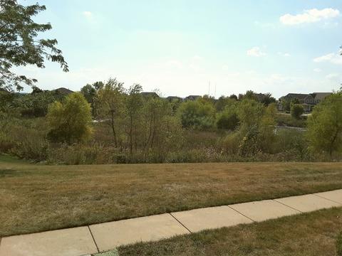 3075 Marion St, Elgin, IL 60124 photo 3