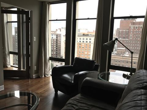 1 E Scott St #1601, Chicago, IL 60610 photo 8