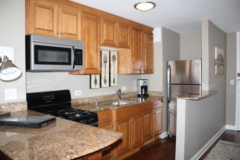 1 E Scott St #1601, Chicago, IL 60610 photo 9