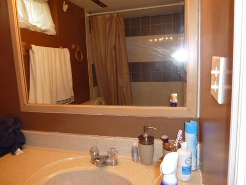 771 Bennett Dr, Elgin, IL 60120 photo 19