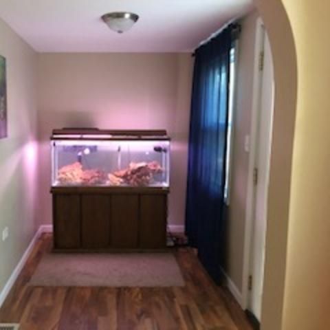 1015 S 6th Ave, Kankakee, IL 60901 photo 3