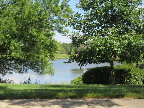 1620 Hadley Ct #B1, Wheeling, IL 60090 photo 22