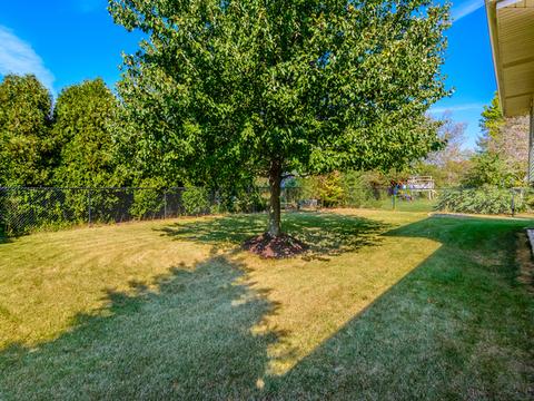 789 Ayers St, Bolingbrook, IL 60440 photo 44