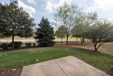 4153 Blackstone Dr, Aurora, IL 60504 photo 4
