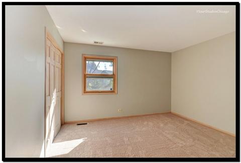 1728 Killdeer Dr, Naperville, IL 60565 photo 17