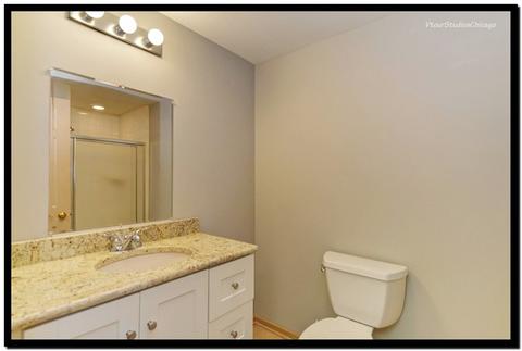 1728 Killdeer Dr, Naperville, IL 60565 photo 21