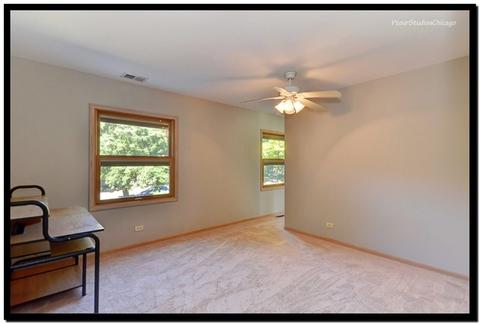 1728 Killdeer Dr, Naperville, IL 60565 photo 20