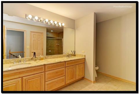 1728 Killdeer Dr, Naperville, IL 60565 photo 13