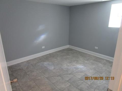 410 E 87th Pl, Chicago, IL 60619 photo 15