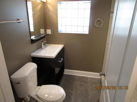 410 E 87th Pl, Chicago, IL 60619 photo 18