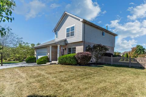 9826 Forestview Ct, Mokena, IL 60448 photo 3