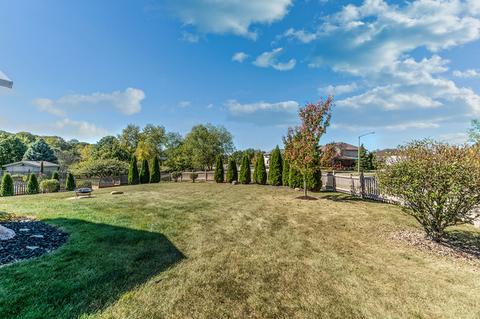 9826 Forestview Ct, Mokena, IL 60448 photo 26