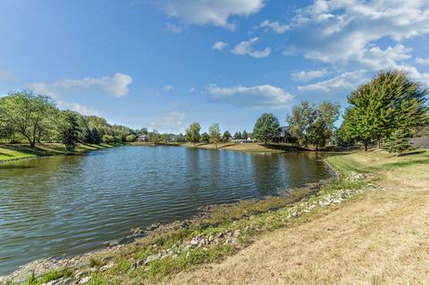 9826 Forestview Ct, Mokena, IL 60448 photo 30