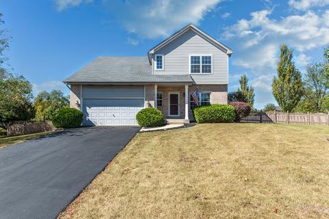 9826 Forestview Ct, Mokena, IL 60448 photo 2